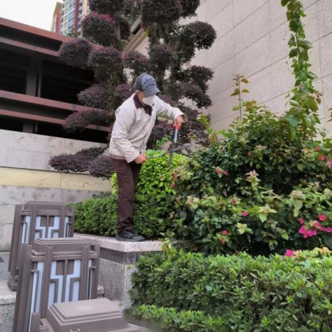 绿化养护